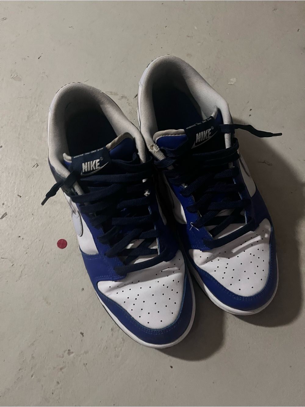 Nike Dunk Low Men’s Low-Top Sneakers — White & Blue